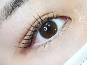 エスーガ(ESUGA)/