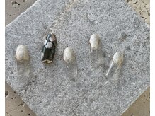 ツリーハウスネイル(tree house nail)/ハンド定額¥5900