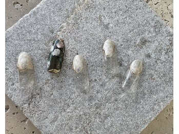 ツリーハウスネイル(tree house nail)/ハンド定額¥5900