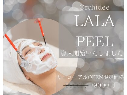 オルキデの写真