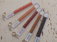 ティディーネスト(Tidynest)/70色以上から選べるカラエク