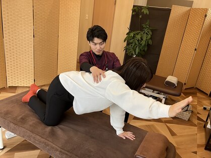 ふくろうの写真