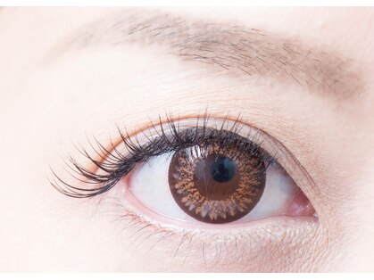 アフロディーテ(Aphrodite)の写真