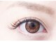 アフロディーテ(Aphrodite)の写真