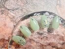 定額Aサンプル