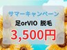 【サマーキャンペーン】足orVIO脱毛 3,500円