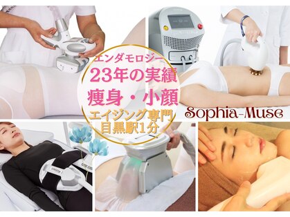 ソフィア ミューズ 目黒の写真