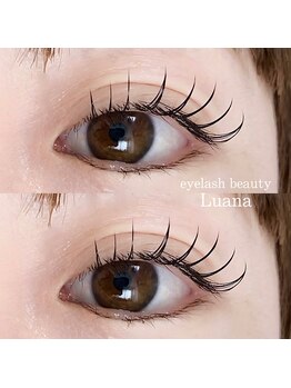 ビューティールアナ(beauty Luana)/フラットラッシュ120本