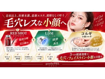 ジーンバイピエル 中野店(gene by PIEL)の写真/天然由来レッドショットで、すっきり美しいフェイスラインへ。【中野/高円寺/脂肪分解剤】
