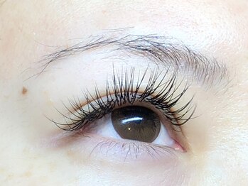 バモス(Vamos)/セーブル上付け放題!