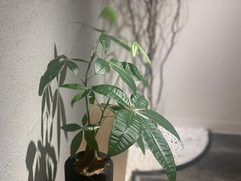 シエルエス(Ciel s)/すくすくと…