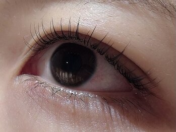 カラン 焼津店(CALIN)/ラスティングカール