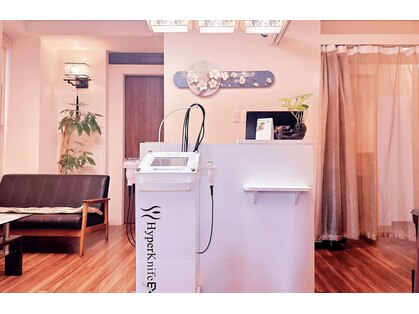 すこやか 亀戸店の写真