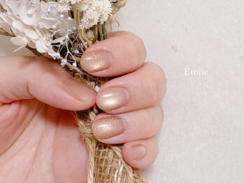 サロン ド エトワール(Salon de Etoile)/上品マグフラッシュネイル