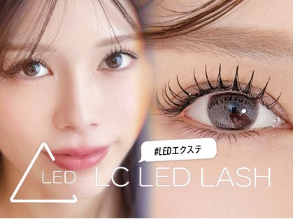 エメドットフルール(Hemer.f)の写真