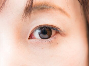 アロハカウア(Aloha Kaua)/アイラッシュ【1】