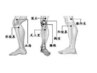 【美脚！筋膜調整、Ｏ脚Ｘ脚ケア】浮腫み、痺れ、膝痛、足首痛、股関節ケア