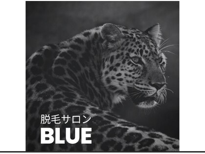 ブルー(blue)の写真