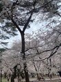 アリエス&nbsp;大宮公園の桜綺麗でした。