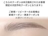 ≪当日次回予約≫ まつ毛パーマorパリジェンヌ+ハリウッドブロウリフト眉WAX