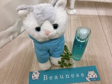 メナードフェイシャルサロン メニアングルの雰囲気（ニキビ肌荒れすこやかな肌に。ビューネシリーズお試しできます）