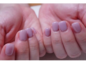 プチリリィ(Petit Lily)/あじさいカラーのワンカラー