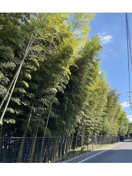 ポーラ 東川口店(POLA)/駅近徒歩4分