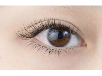 フィール(feel)/フラットラッシュ