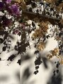 ヒーリンスペース 四条梅津店(Healin space)&nbsp;日本でのツツジの様によく見かけた、薄い葉っぱのような花びら。