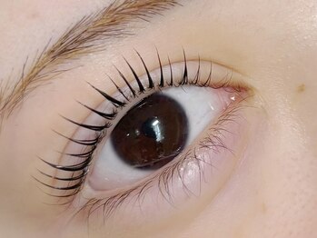 ロコラッシュ 三軒茶屋店の写真/お悩みに合わせたデザインが魅力♪まつげパーマ・パリジェンヌで理想の目元を演出！