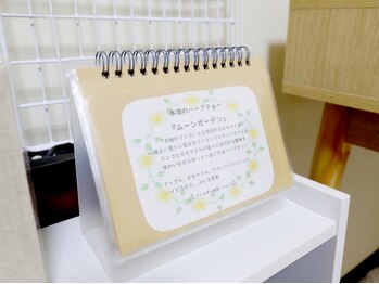 サロン ダナム(danam)/日替わりのハーブティー