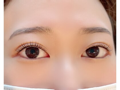 ログ(log)の写真