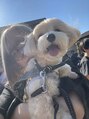 ゆびノさき イケブクロ(ゆびノさき+ikebukuro) 犬大好きです 長生きしてほしい