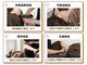 ラリシア(RALISIA)の写真