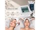 セルラム(cellulam)の写真