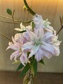 ビューティークローゼットアリー(Beauty closet Alii) 五感を癒す。サロン内に生花や植物を生けています。