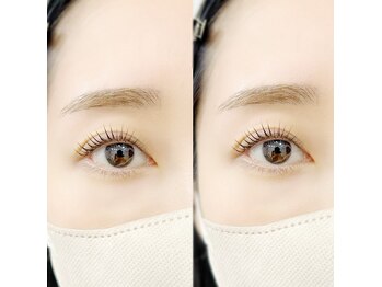 デイリー ラッシュ(DAILY LASH)