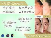 ホワイトカメリア(White Camellia)