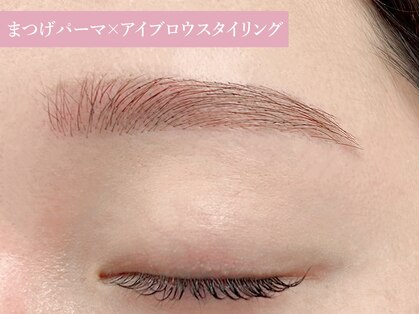 プラスアイ 銀座中央通り店の写真