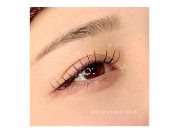 ルクール 喜多町店(Le Coeur)/