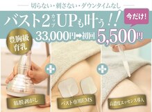 美人バスト 掛川店