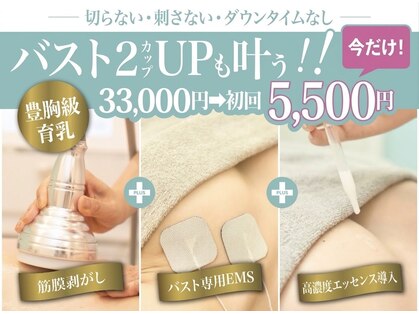 美人バスト 掛川店の写真