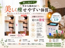 ヨサパーク 各務原店(YOSA PARK)