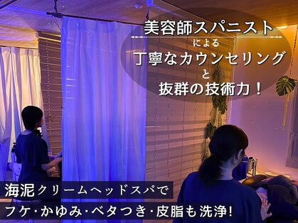 海ここちの写真