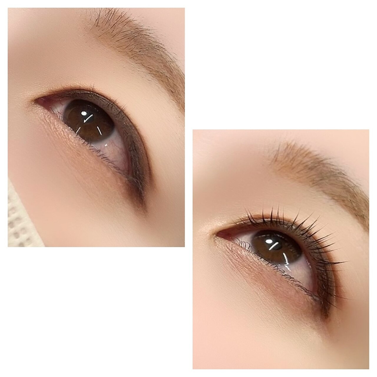 アイラッシュフォーティーファイブ(eyelash forty-five