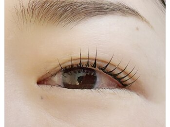 アイラッシュプラン メル 高槻JR駅前店(eyelash plan Mel)/潤いまつ毛パーマ