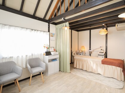 ハナ(HANA)の写真