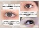 オッキーニ(occhini)の写真