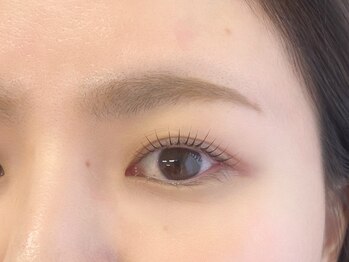 ノーレ 阿倍野 昭和町(nole)/ねこまんまカール