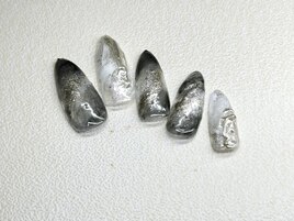 2026冬ネイル【ニュアンス】